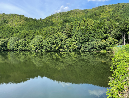松尾一の鳥居池