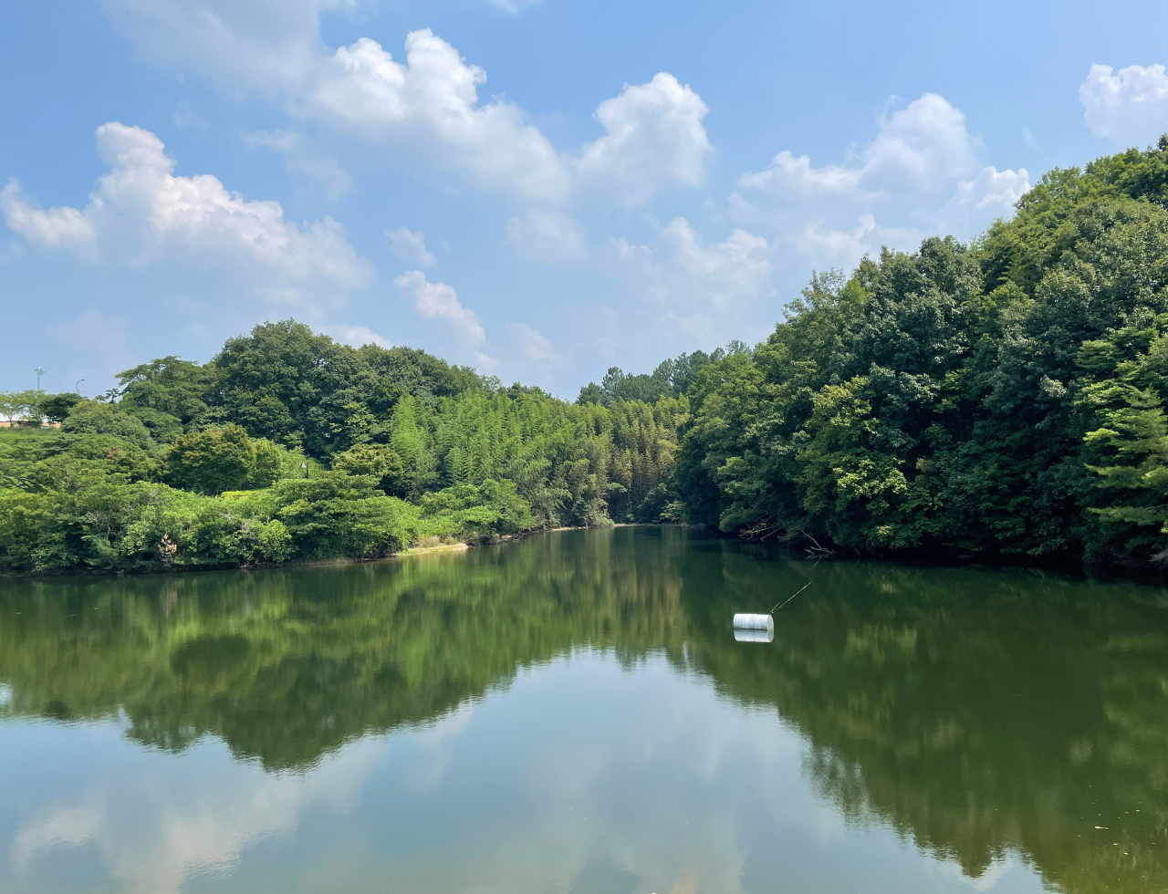 ◆本津川溜まり池