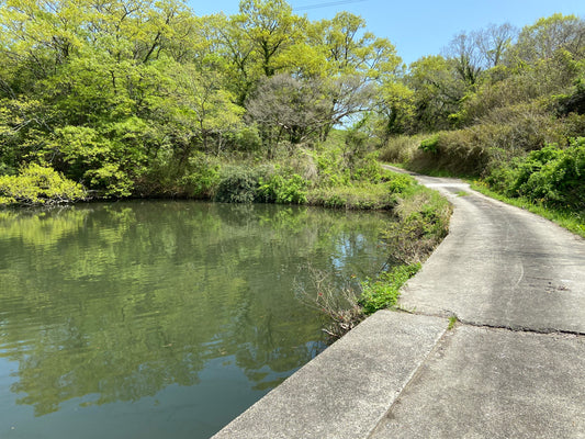 奥田池（長浜）