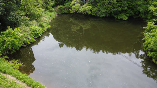 夫婦岩池（下）