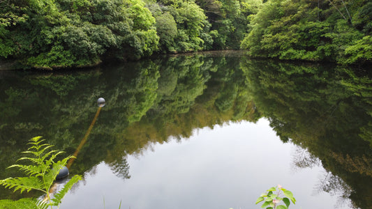 夫婦岩池（上）