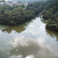 ◆名阪工業団地第六公園池