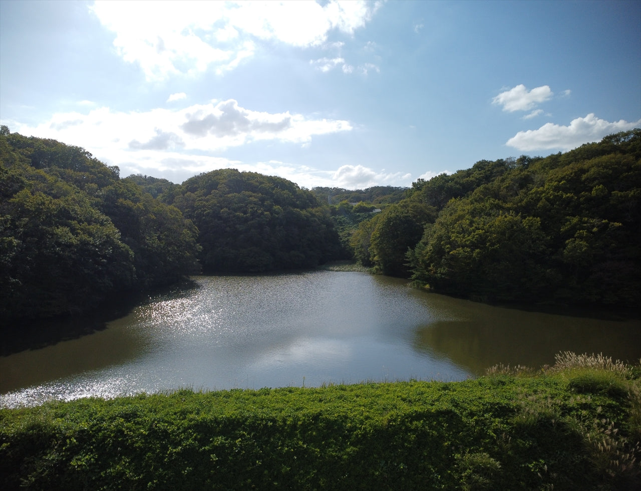 ◆大池（勝尾）