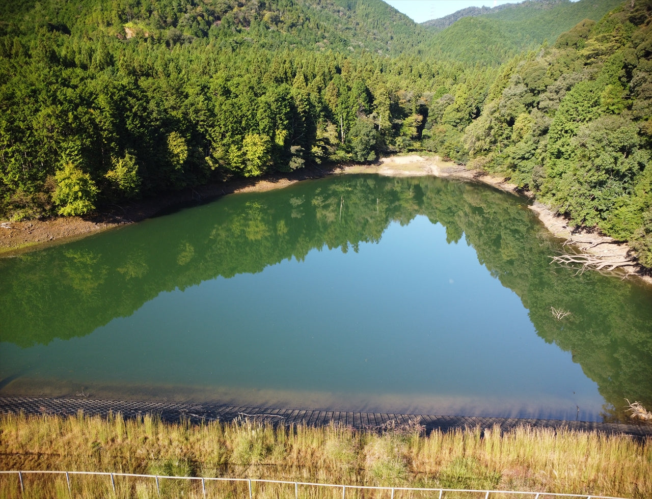 ◆鳩ヶ池（国分）