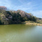 ◆鍋倉新池