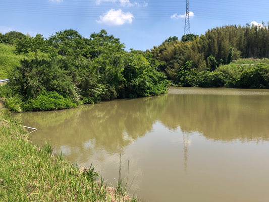 よし池
