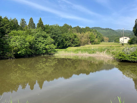 ◆沢の谷池