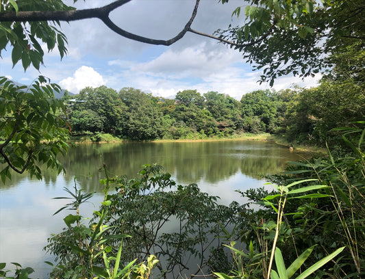 夫婦池（西宮）