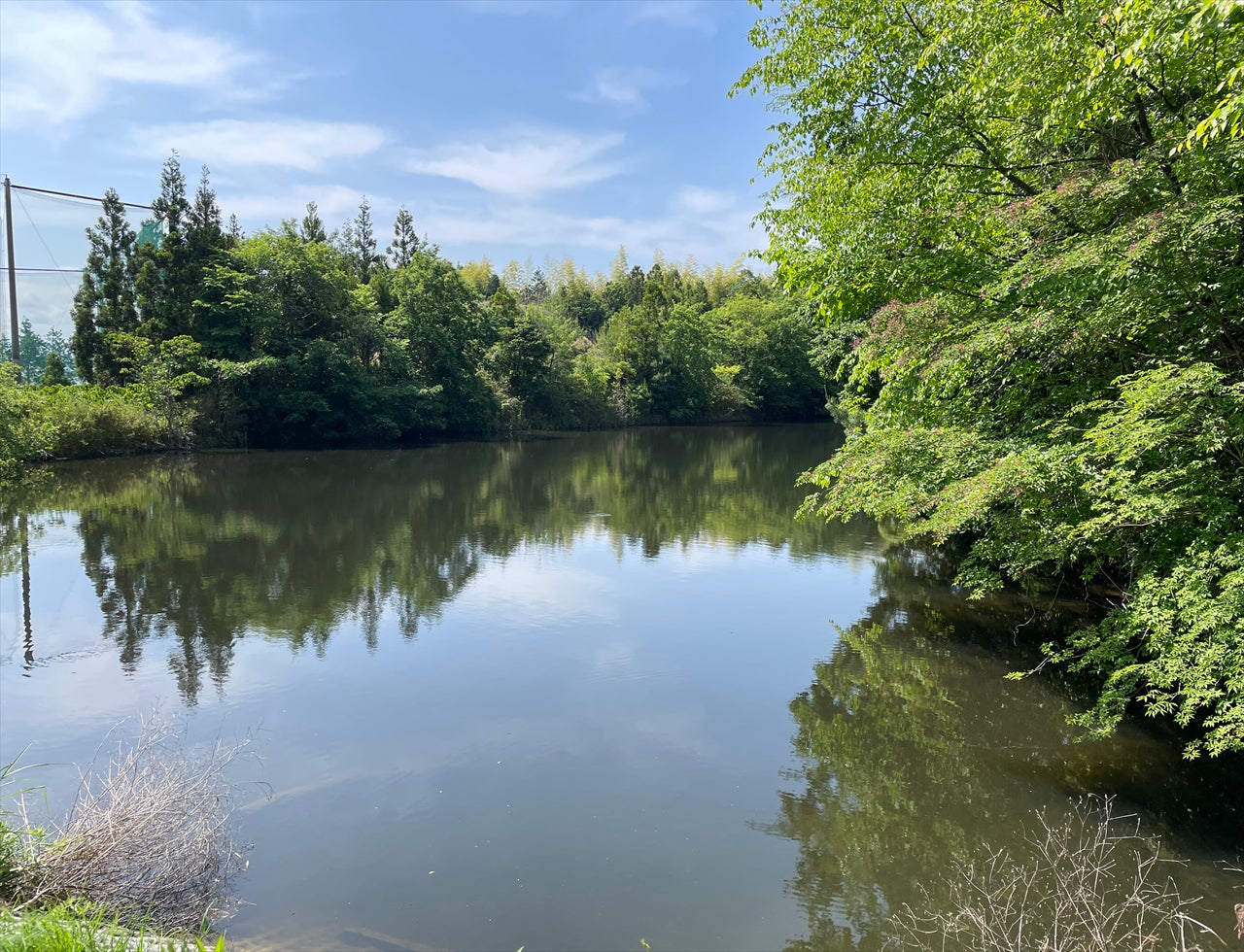 ◆長池（宮津サコデ）