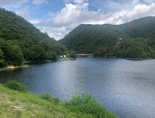 金仙寺湖