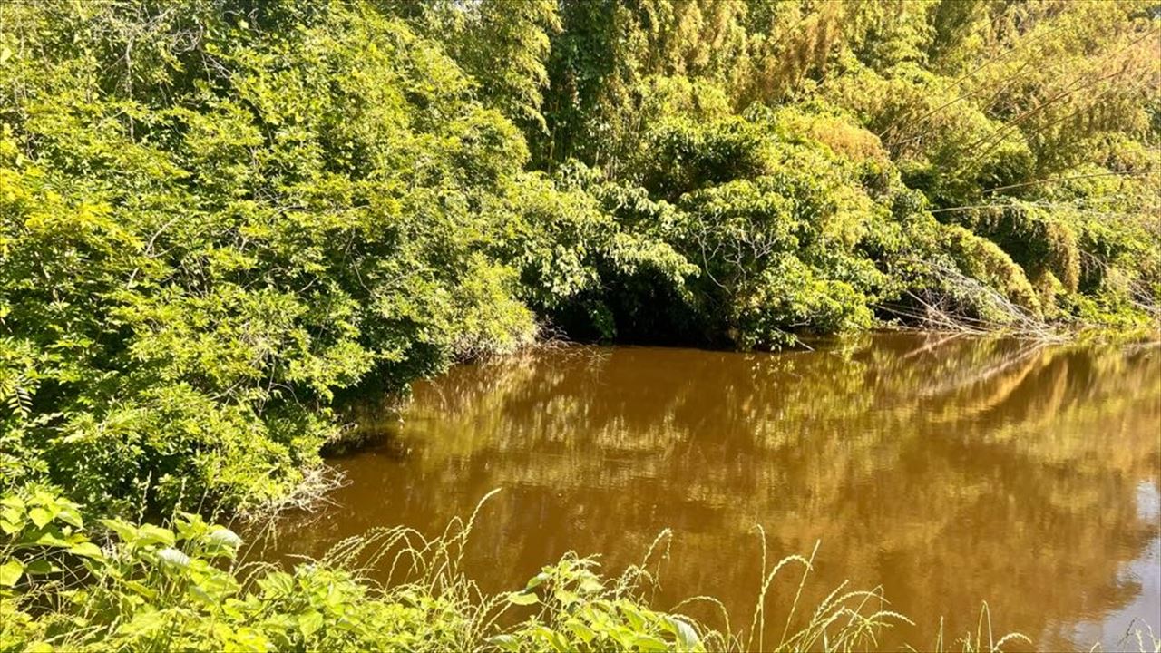 ◆宮原池（玉名）