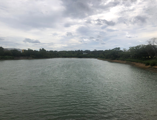 じゃぶじゃぶ池