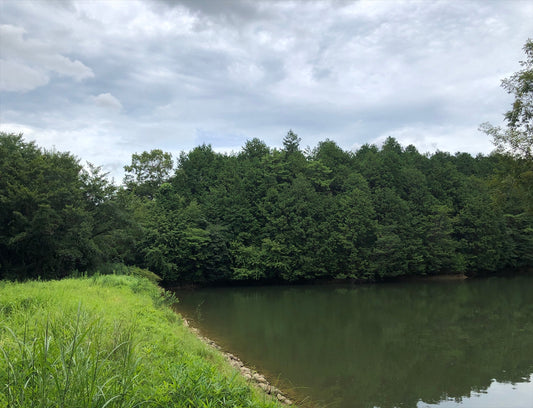 ◆護国院池（下相野）