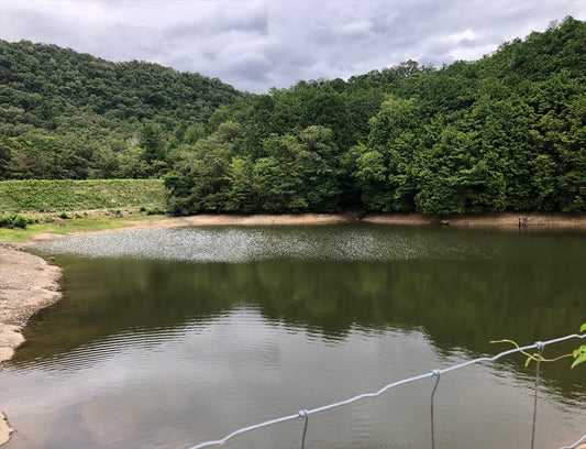下池（東本庄）