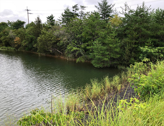 ◆西池（福住町）