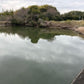 ◆白沢大池