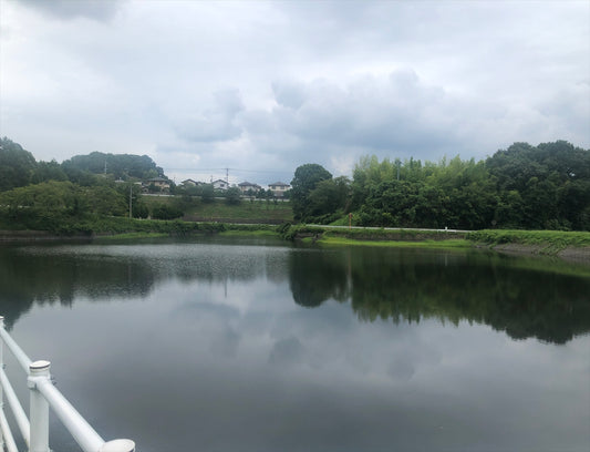 足王神社池