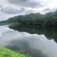 ◆鴨前大池