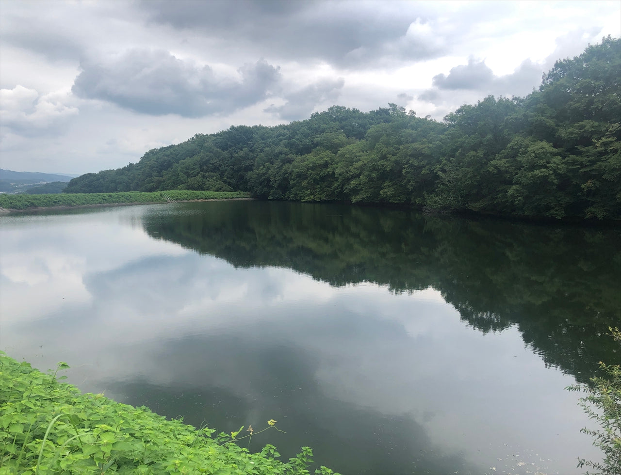 ◆鴨前大池