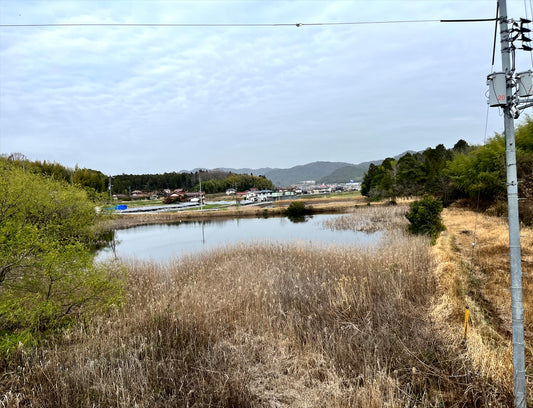 中池（西条町）
