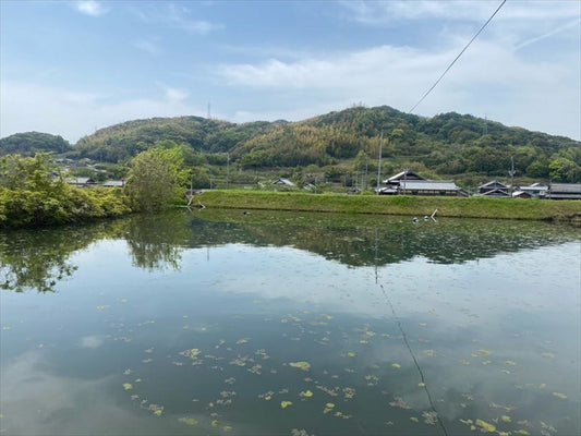 ◆新池(淡路市大町上)