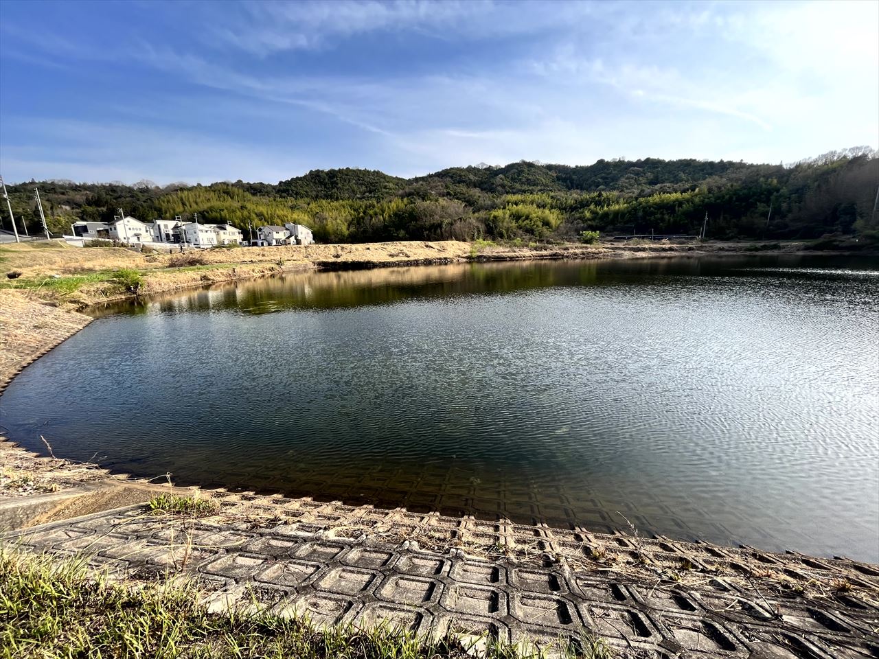 ◆森永池（西条町下見）