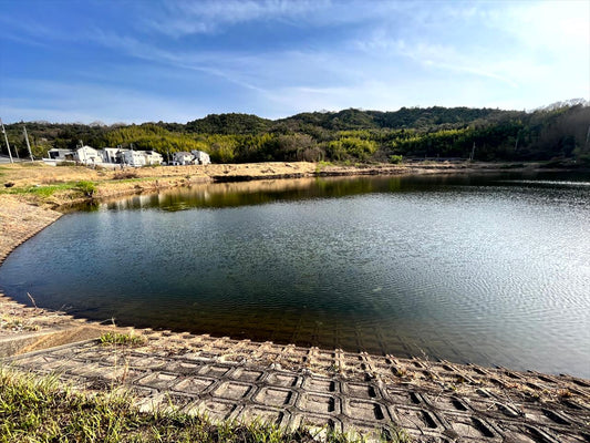 ◆森永池（西条町下見）