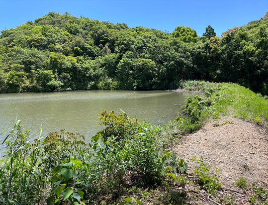 ◆大池（みなべ町堺）