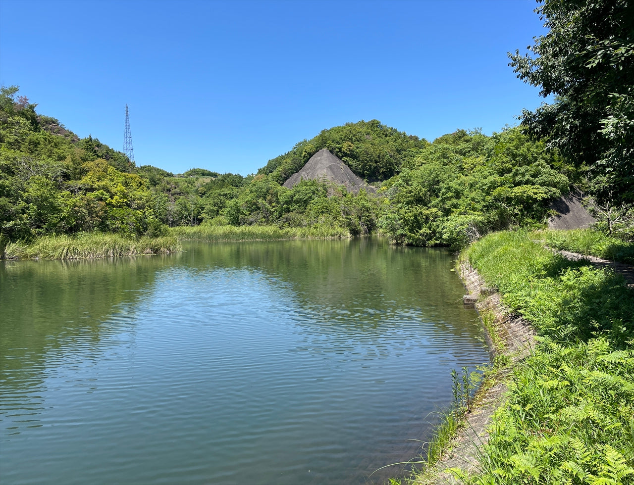 ◆飛曽川池