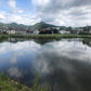 ◆大池（楢原）