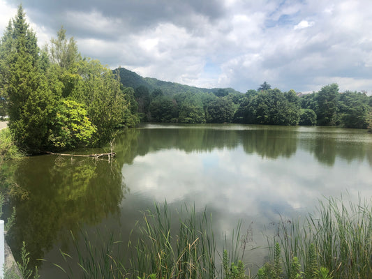 新池（黒瀬町丸山）