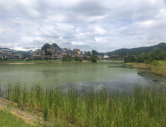 鍋屋池