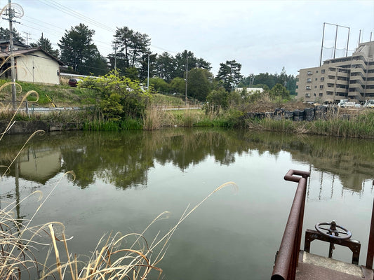 ◆弥左エ門池