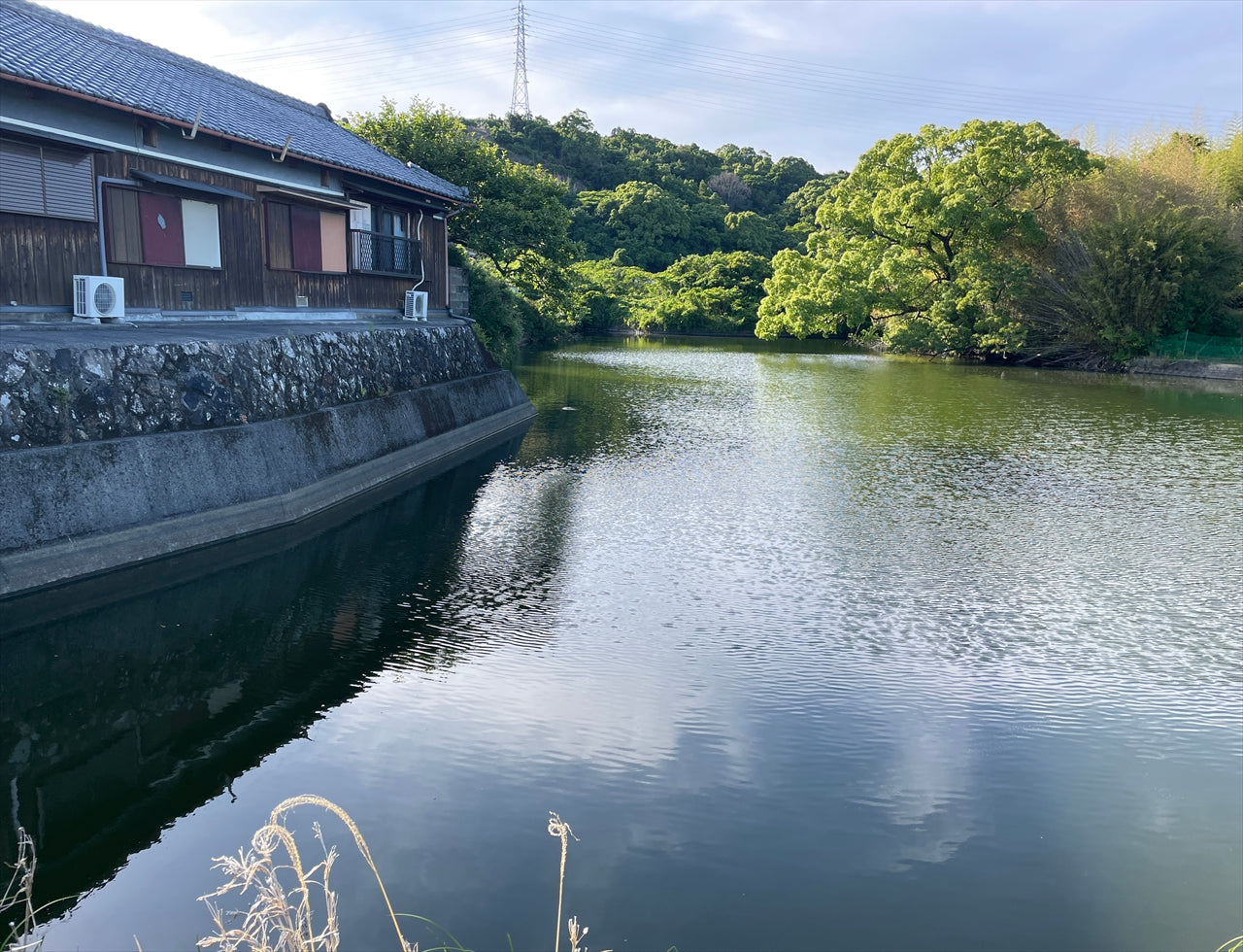 ◆新池（藤田町吉田）