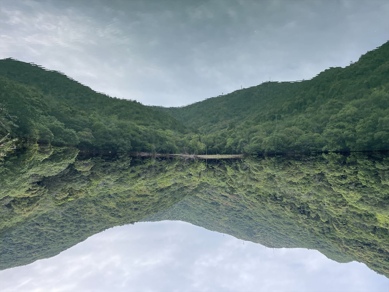 ◆古池（富安）