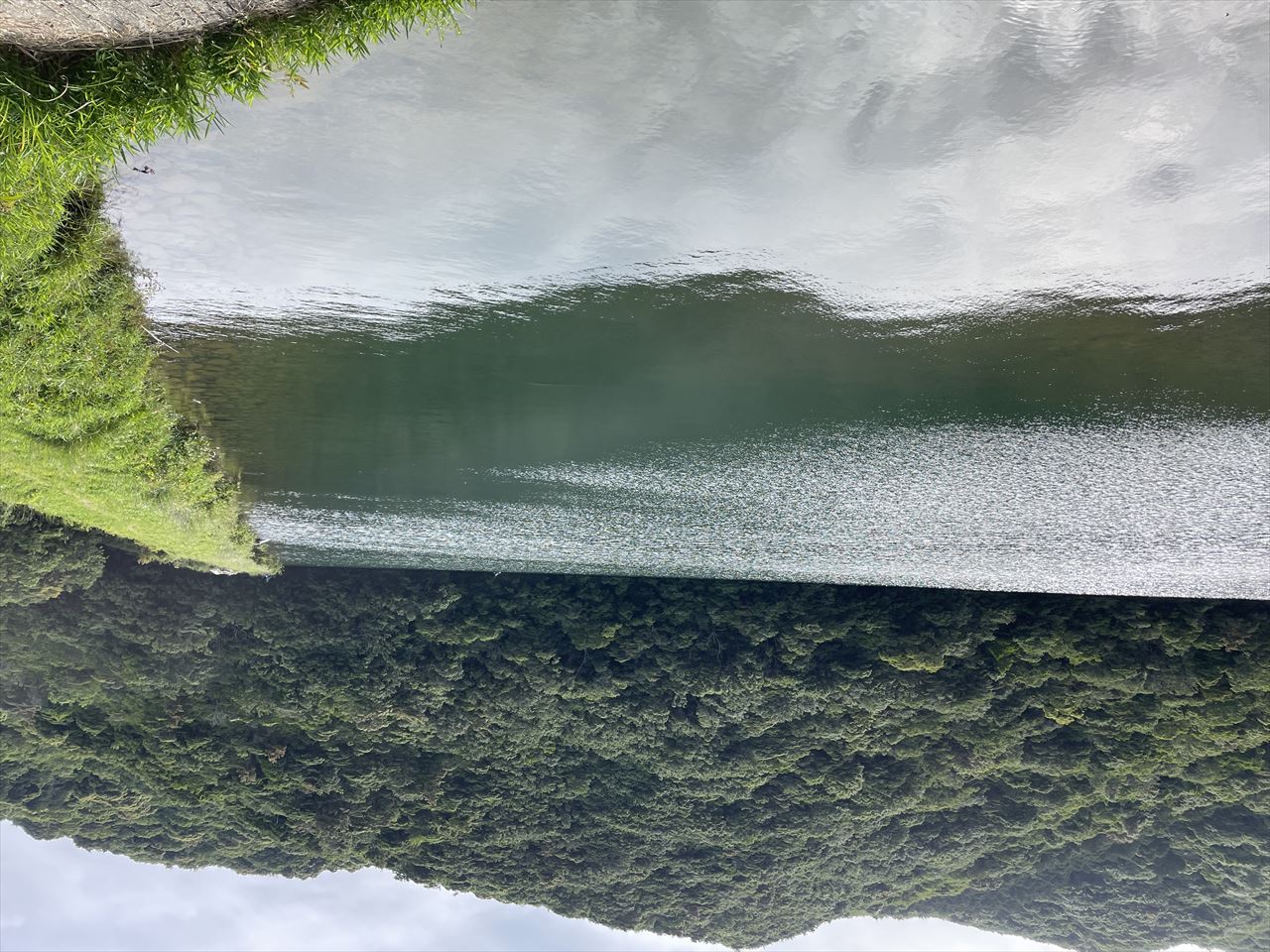 ◆新池（富安）