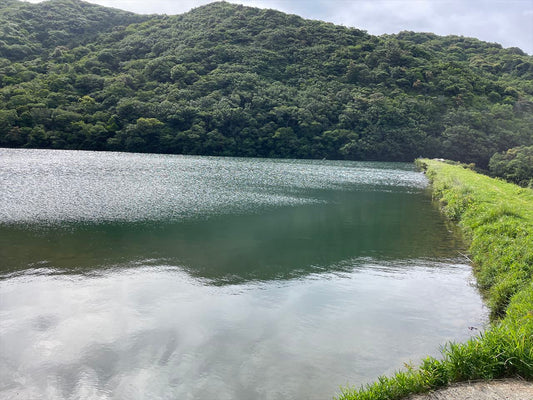 ◆新池（富安）