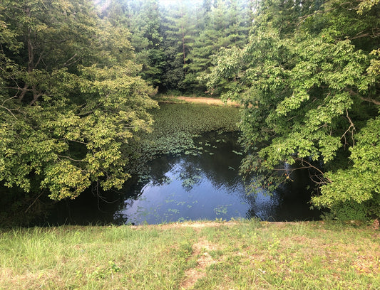 下子池（糸井町）