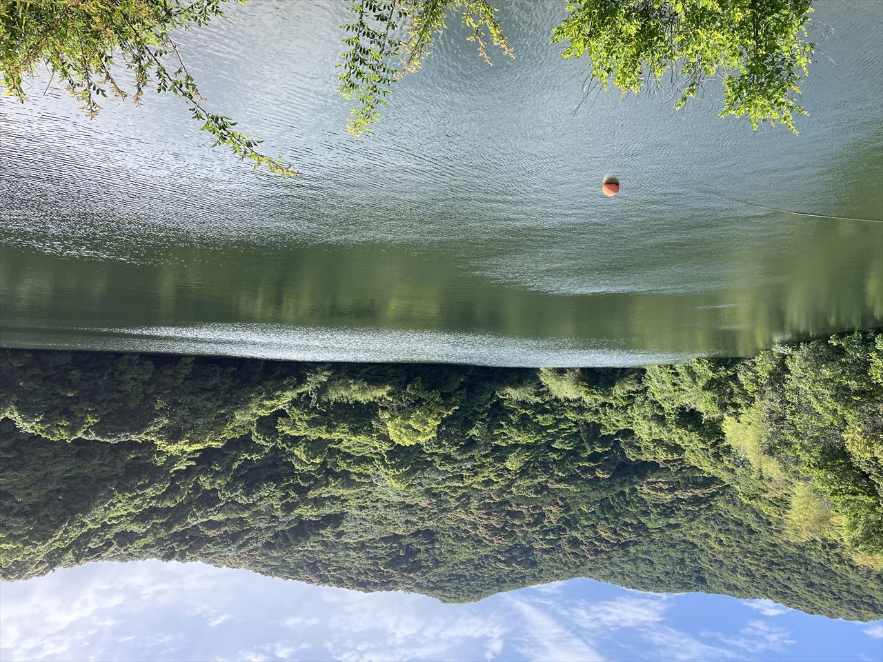 ◆奥山池（萩原）