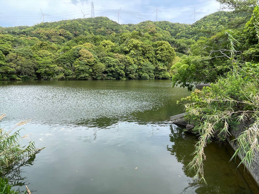 ◆栗谷池