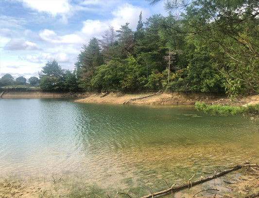 上池（糸井町）