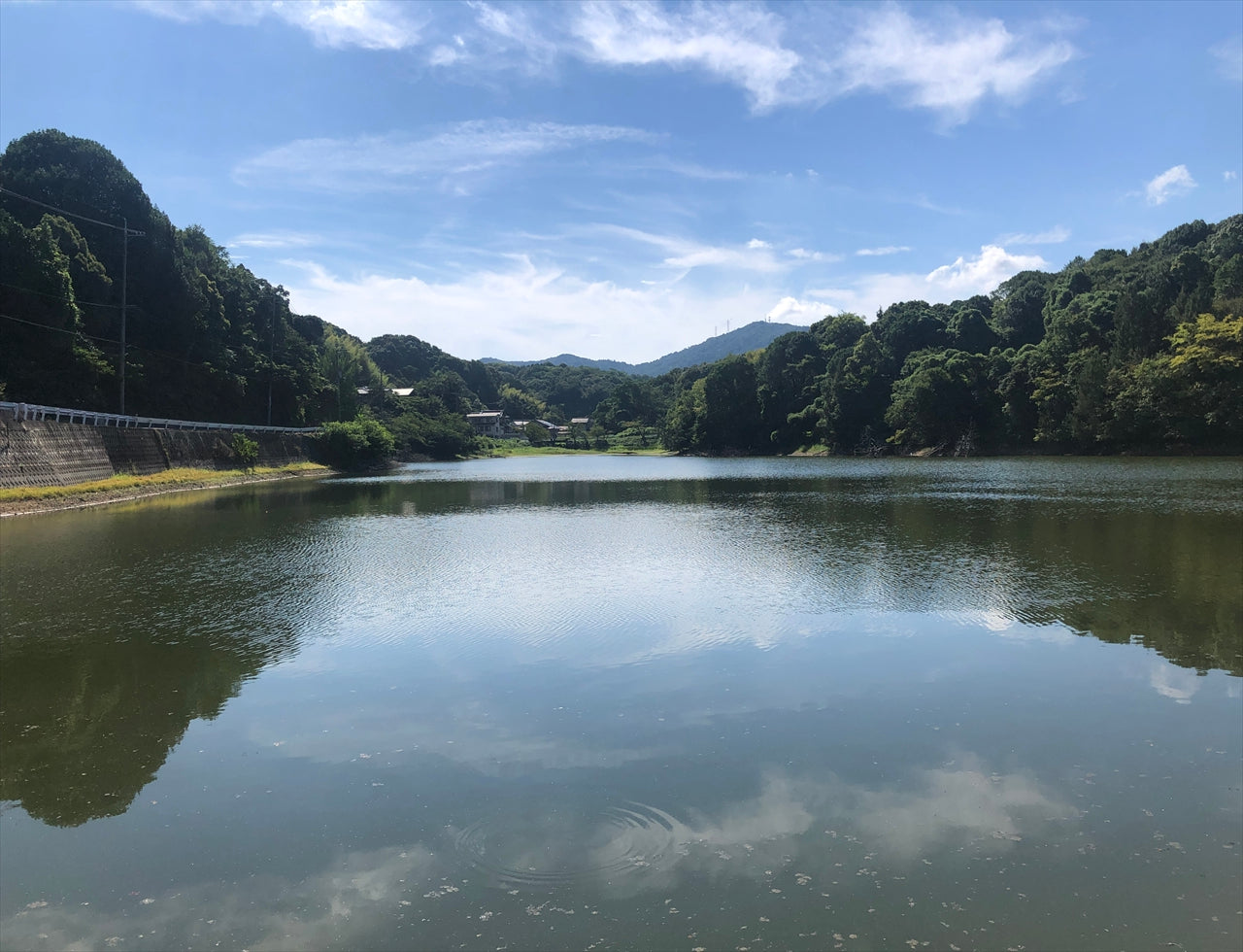 ◆枠田池