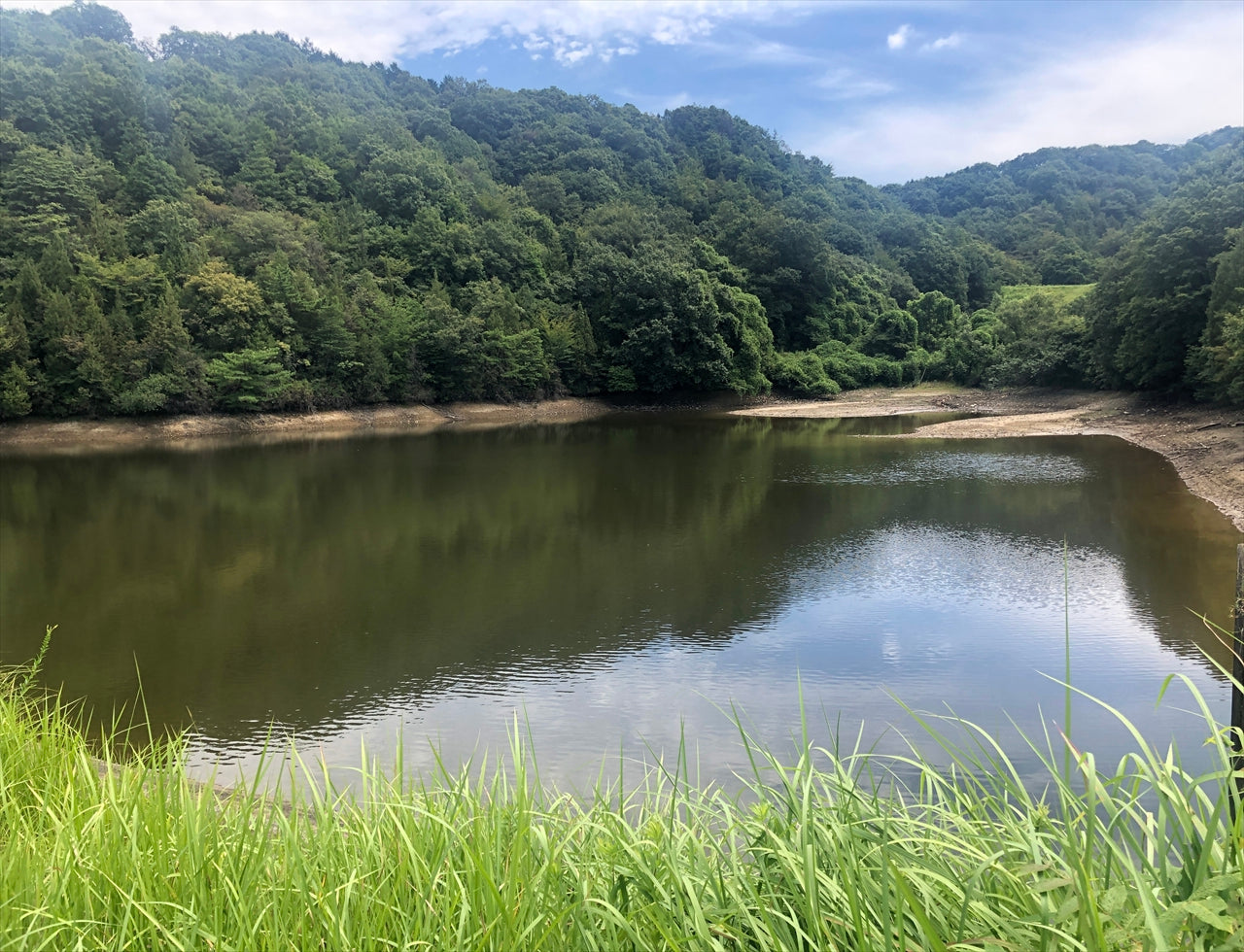 ◆下池（瀬戸長和）