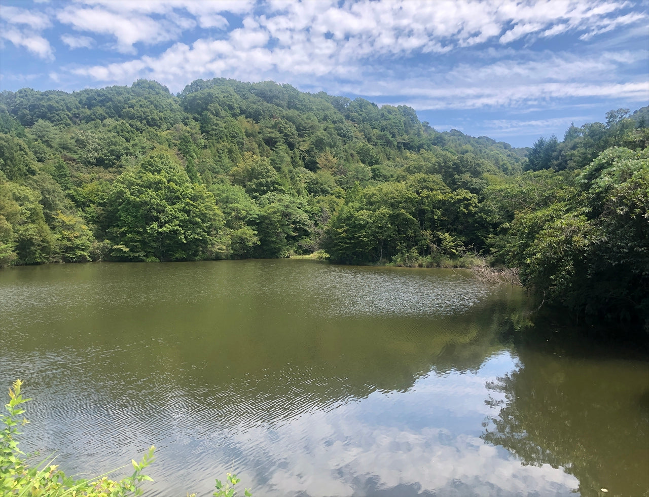 ◆上池（瀬戸長和）