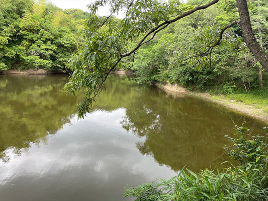 ◆大谷下池（大谷）