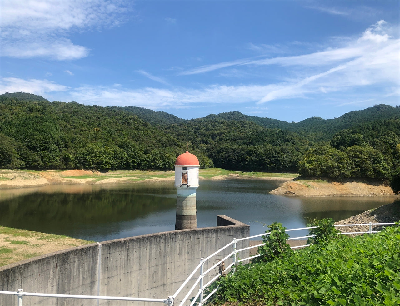 ◆光林寺池