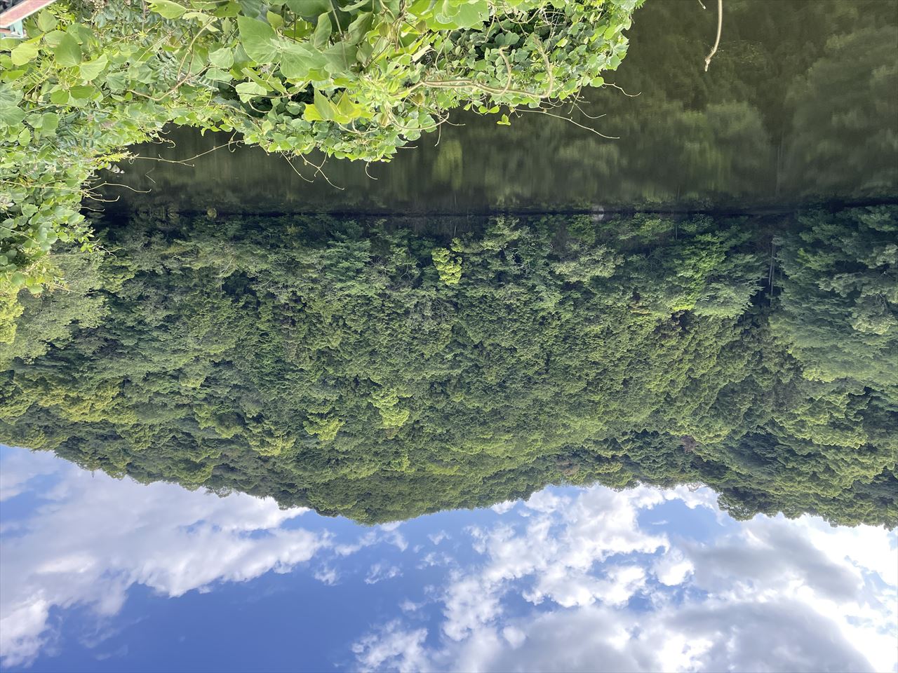 ◆柳谷池（園部）