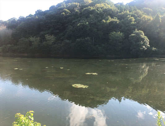 鉈々池