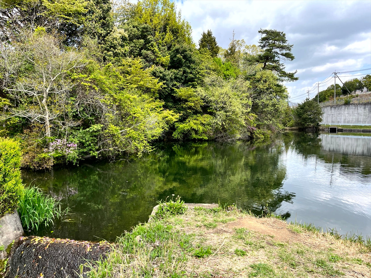 ◆中新池（西条町寺家）