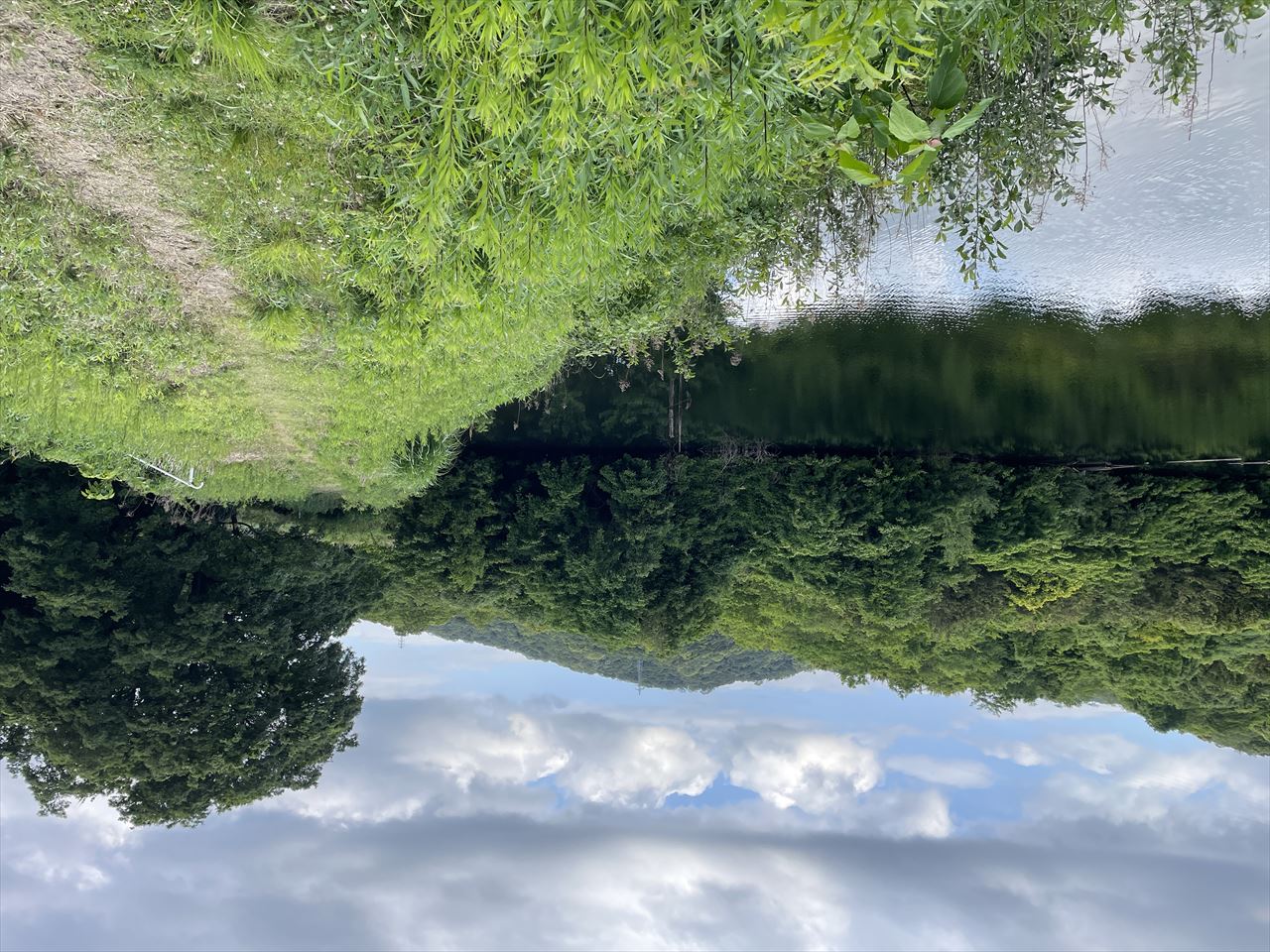 ◆新池（和歌山府中）